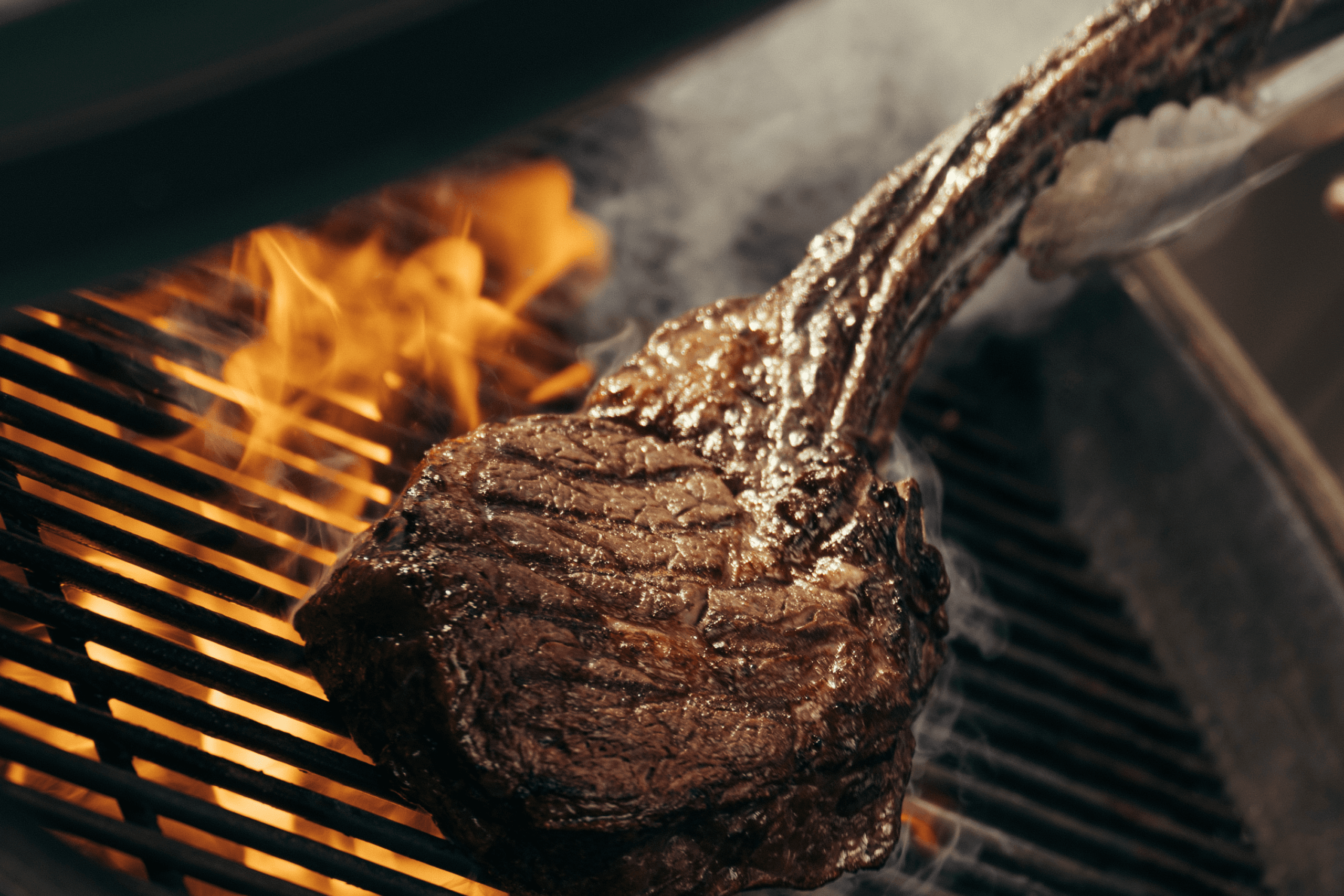 Imperial Riding School